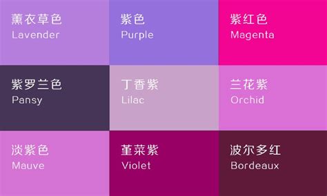 孤挺花風水 紫色要配什麼顏色